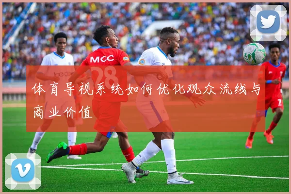 体育导视系统如何优化观众流线与商业价值